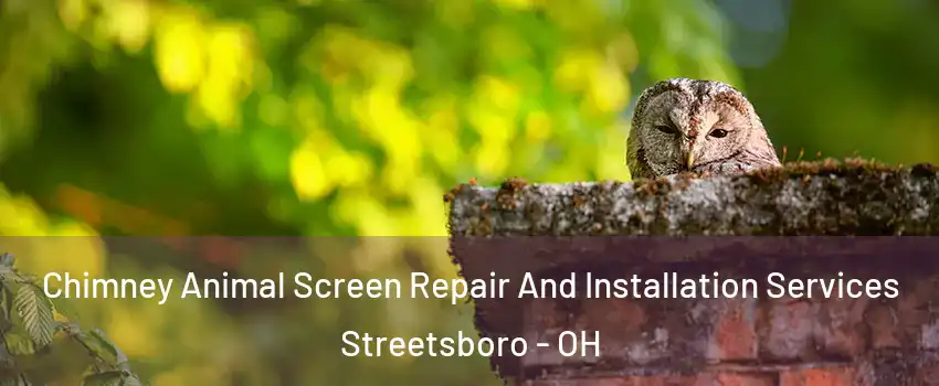  Chimney Animal Screen Repair And Installation Services Streetsboro - OH