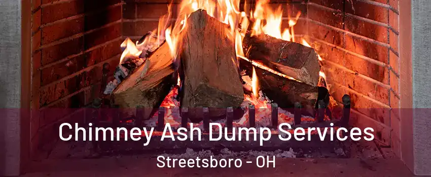  Chimney Ash Dump Services Streetsboro - OH