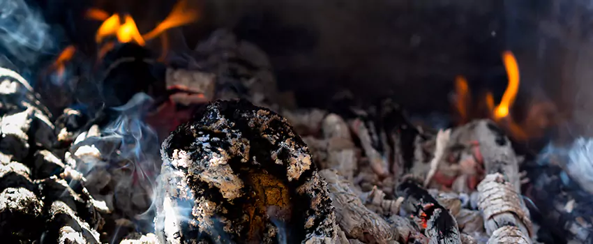 Creosote Removal Experts in Streetsboro, OH