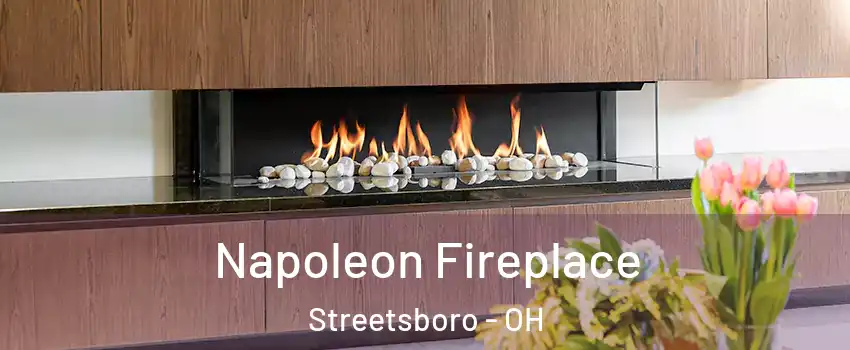  Napoleon Fireplace Streetsboro - OH