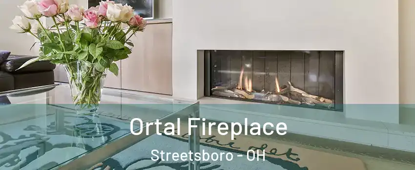  Ortal Fireplace Streetsboro - OH